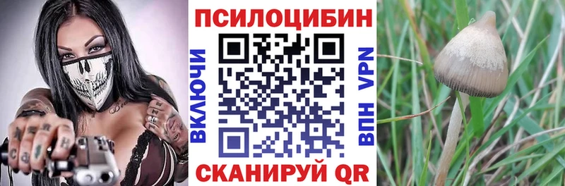 Галлюциногенные грибы мухоморы Рыбинск